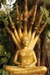 saturday golden buddha