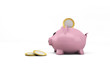 cochon tirelire 2