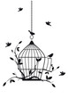 free birds with open birdcage, vector