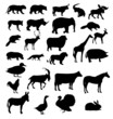 vector set of animals silhouette