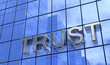 Trust the Bank - silver blue