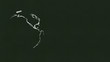 Video: Rotating globe & the word Earth drawn on a chalkboard. Rotating globe & the word Earth drawn on a chalkboard.