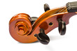 Photo: Scroll and pegbox of violin Scroll and pegbox of violin