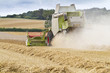 Combine harvester cutting cereal