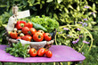Different fresh vegetables