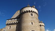 Château de Suscinio