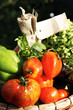 different wet vegetables