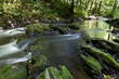 Die Selke im Harz ein naturbelassener Fluss