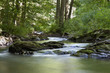 Die Selke im Harz ein naturbelassener Fluss
