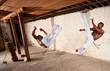 Pair of Strong Capoeria Fighters