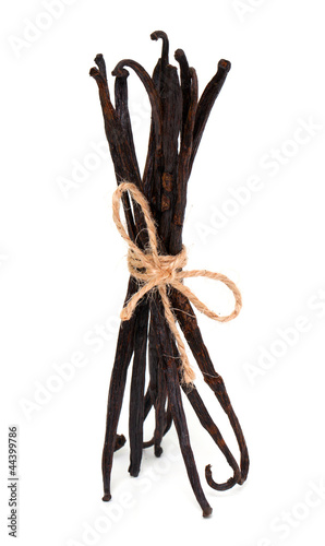 Photo: tied standing vanilla beans tied standing vanilla beans