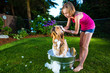 Young girl giving her dog a bath