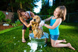 Foto: Giving the dog a bath outside Giving the dog a bath outside