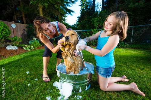 Photo: Giving the dog a bath outside Giving the dog a bath outside