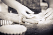 Baker preparing dough monochrome