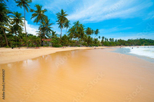 Photo: Tropical beach Tropical beach