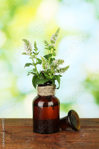 Photo: Essential oil and mint on green background close-up Essential oil and mint on green background close-up