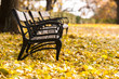Autumnal photo in a forest