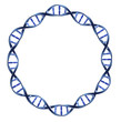 ADN en cercle sur fond blanc