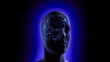 Brain Video