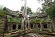 Ancient Ta Prohm or Rajavihara Temple at Angkor
