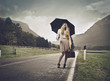 Travelling beauty