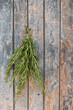 Rosemary
