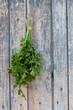 Parsley
