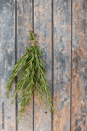 Photo: Rosemary Rosemary