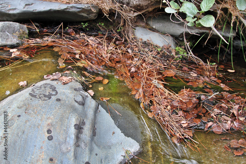 Photo: Arroyo del Parral, Sauceda, Hurdes, España Arroyo del Parral, Sauceda, Hurdes, España