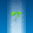 Heavenly Plant