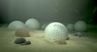 Golf Balls In Water Hazard