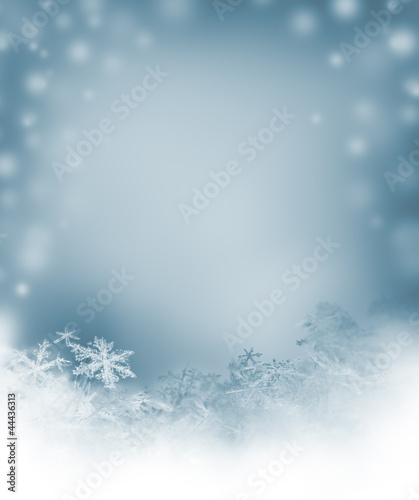 Photo: winter background with natural snowflakes winter background with natural snowflakes