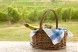 Foto: Alsace picnic Alsace picnic