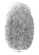 Foto: Black fingerprint on white paper Black fingerprint on white paper