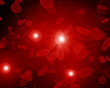 Red blood cells