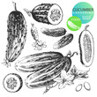 Cucumbers