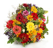 bouquet of beautiful summer flowers, isolated on white