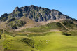 green meadows in the French Pyrenees