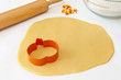 Making Pumpkin Cookies