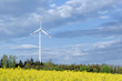 Foto: Windrad und Rapsfeld Windrad und Rapsfeld