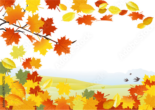 Vector: Herbst Hintergrund Herbst Hintergrund