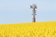 Gsm transmitter on a field