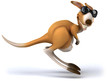 Fun kangaroo