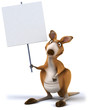 Fun kangaroo