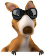 Fun kangaroo