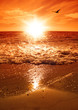 canvas print picture - sunset