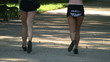 Video: Young attractive female joggers - slow motion Young attractive female joggers - slow motion
