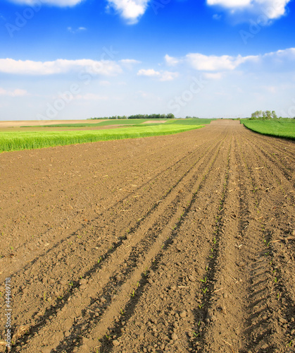 Photo: Plowed field in spring time Plowed field in spring time