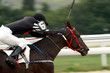 Horse race.
